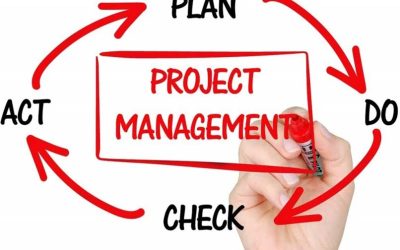 The Project: A Comprehensive Guide to Successful Project Management
