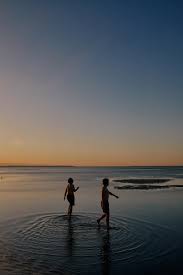 Decoding Destiny: Understanding Horoscope Chart Dates - All The Gage Faces