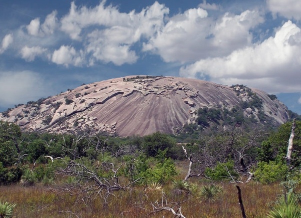 "In the Shadow of Giants: Unraveling the Enigma of André the Giant's Monumental Hands"