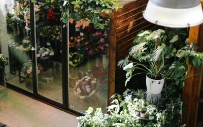 Greenhouse Coffeeshop: Your Oasis of Serenity in The Heart of The Hague