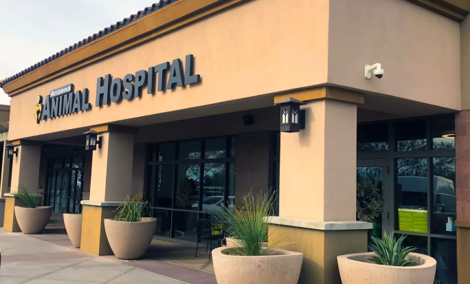 How Animal Hospitals Are Different From Regular Veterinarians: What You Need To Know