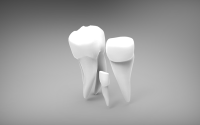 6 Questions To Ask Before Choosing Your Family Dentist